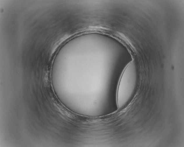 X0000072521260200607140928