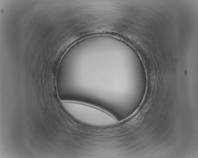 X0000072521265200607140928