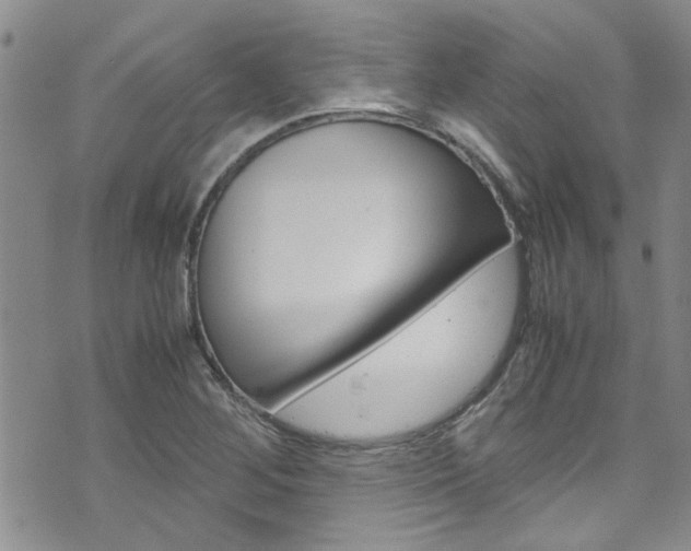 X0000072521268200607140928