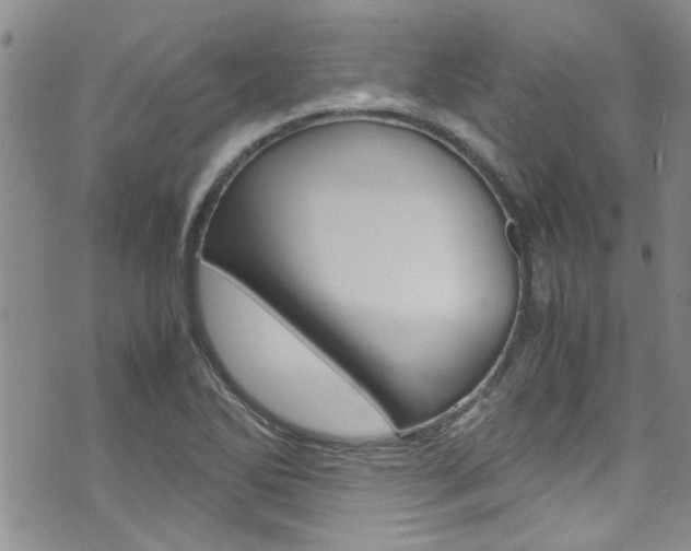 X0000072521270200607140928
