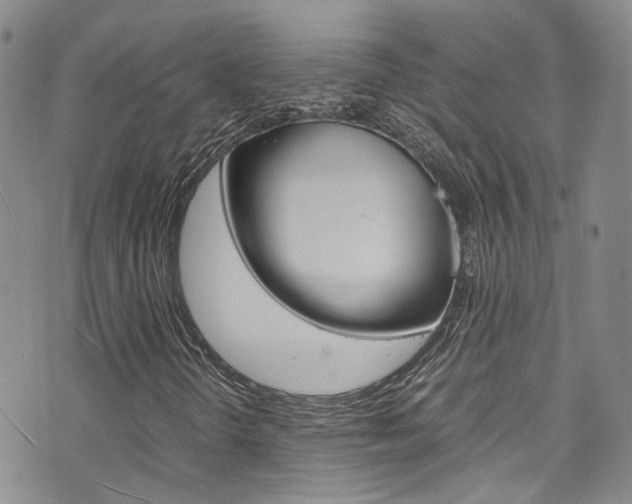 X0000072521298200607140927