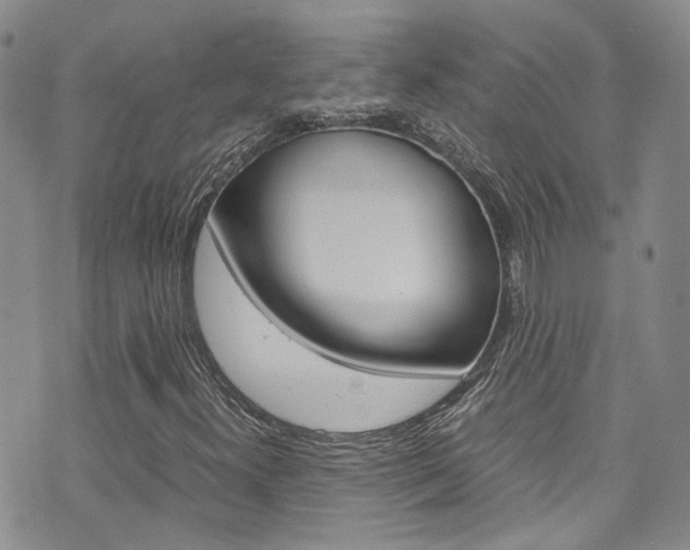 X0000072521300200607140927
