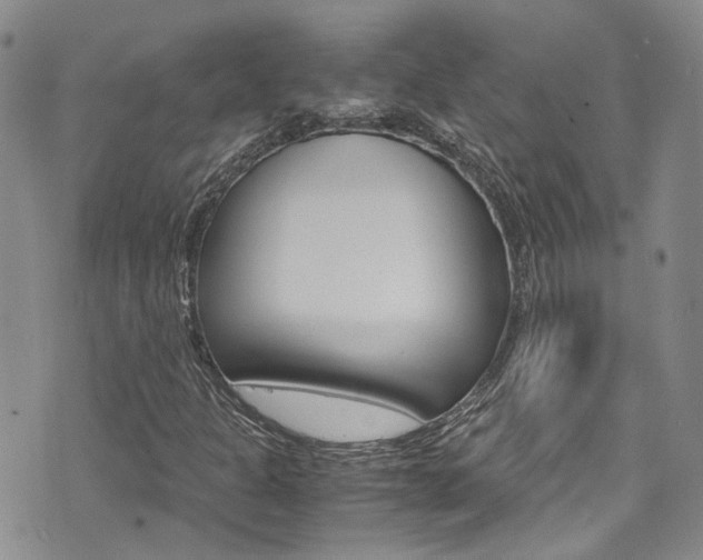 X0000072521301200607140927