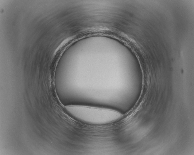 X0000072521306200607140927