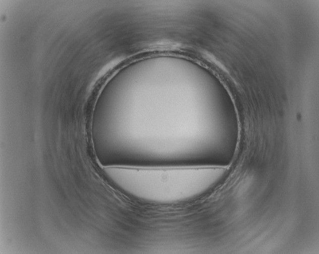 X0000072521315200607140927