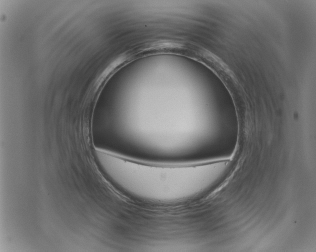 X0000072521321200607140927