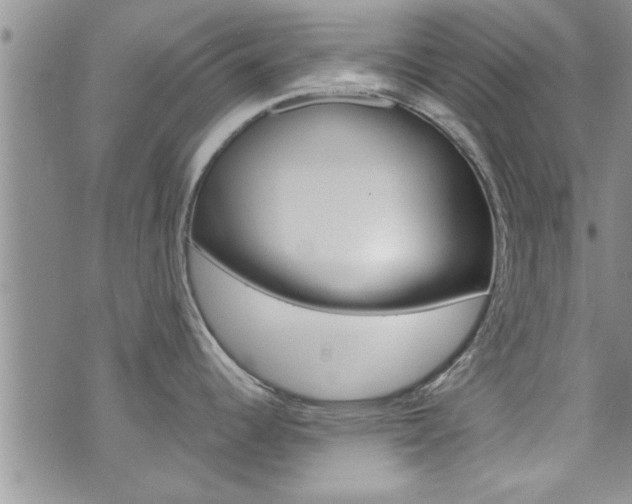 X0000072521344200607140928