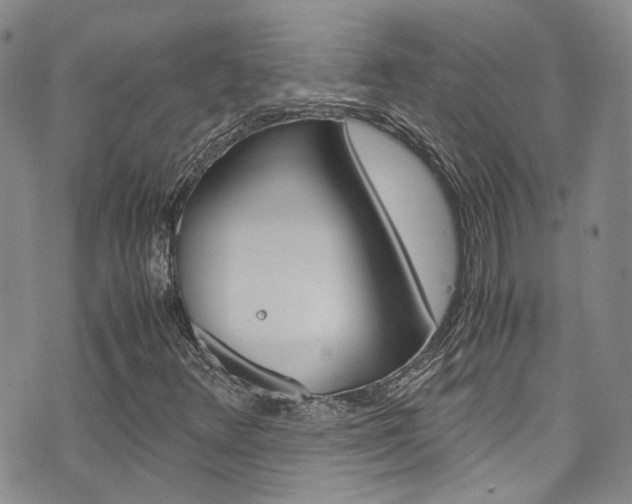 X0000072521348200607140927