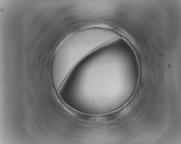 X0000072521377200607140926