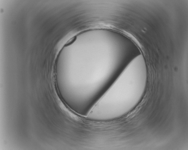 X0000072521387200607140926
