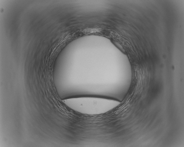 X0000072521393200607140925