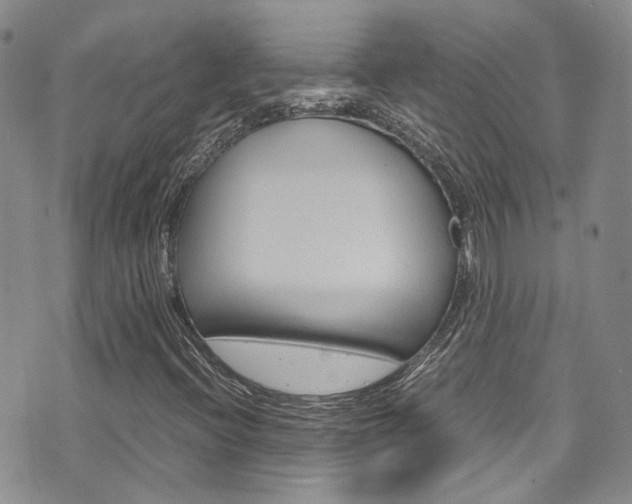 X0000072521396200607140925