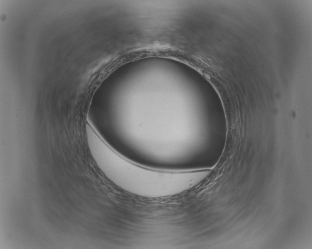 X0000072521398200607140925