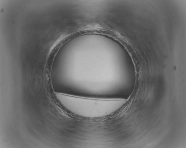 X0000072521400200607140925