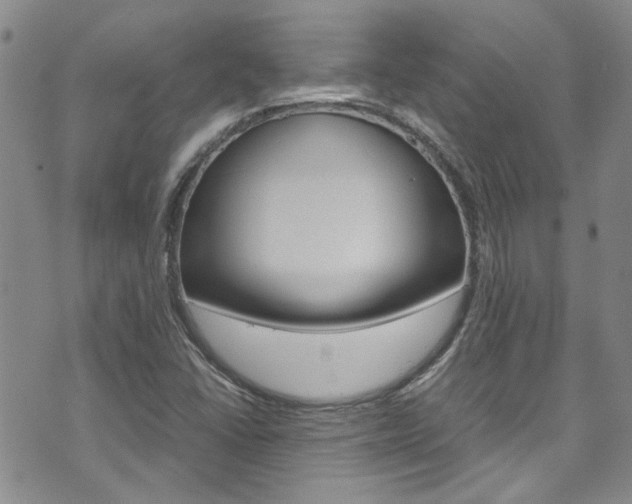 X0000072521406200607140926