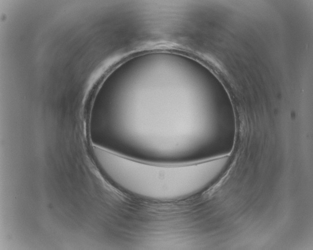 X0000072521414200607140926