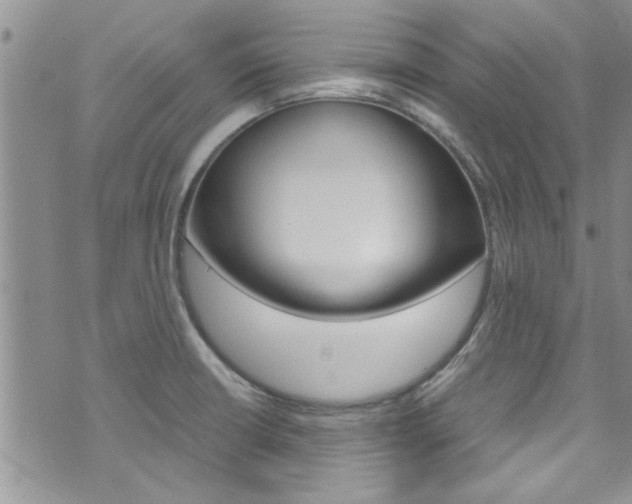 X0000072521426200607140926