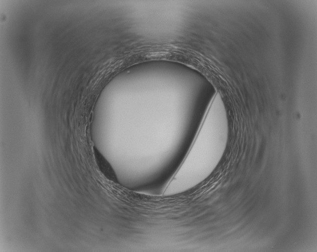 X0000072521441200607140925