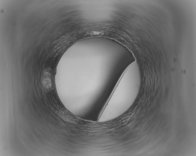 X0000072521442200607140925