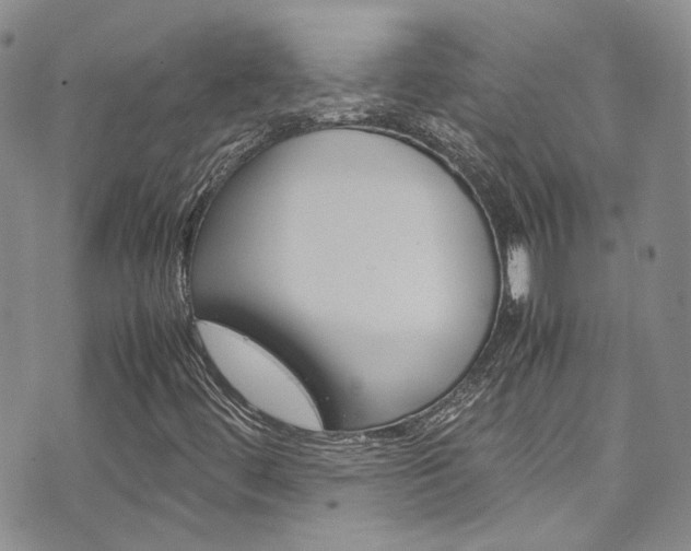 X0000072521444200607140925