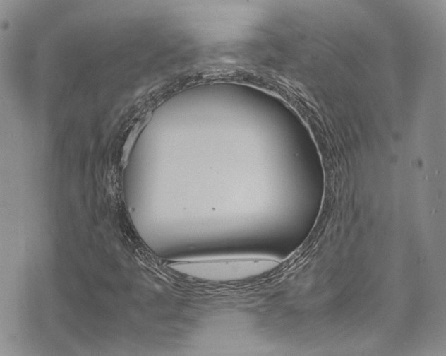 X0000072521445200607140925