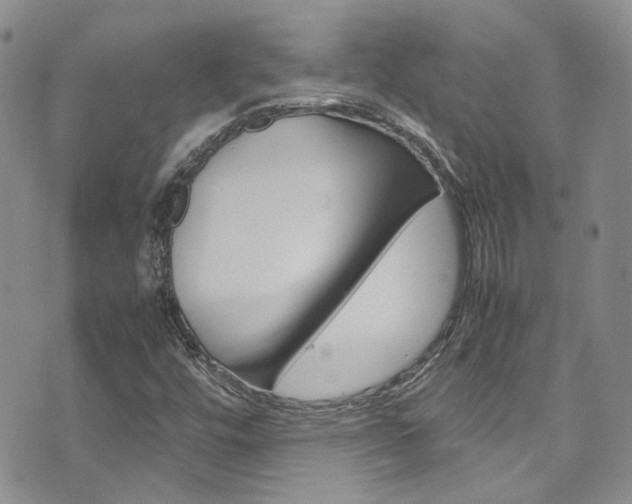 X0000072521448200607140925