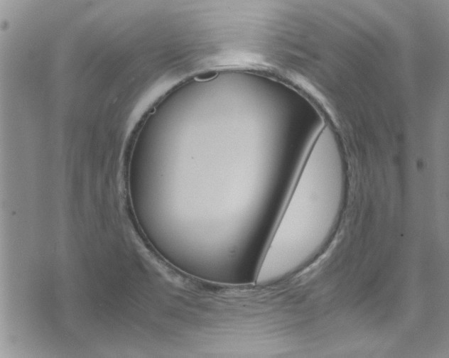 X0000072521469200607140925