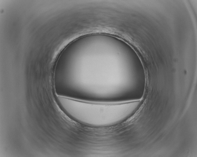 X0000072521500200607140924