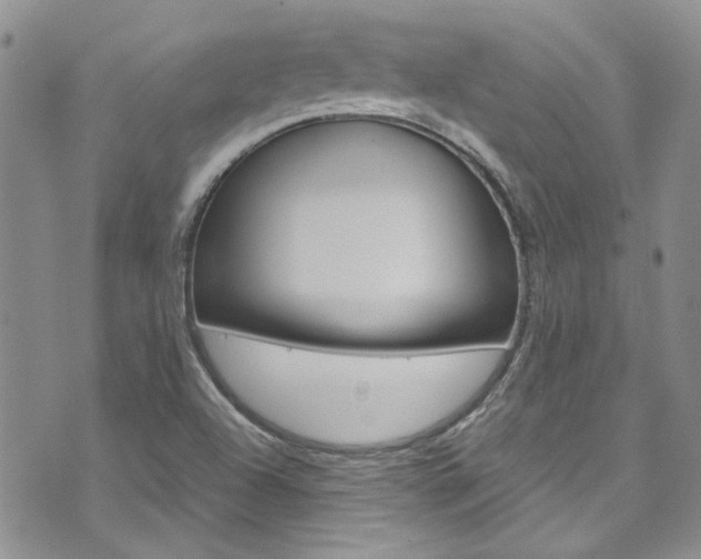 X0000072521504200607140924