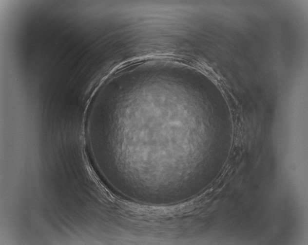 X0000072520002200607141210