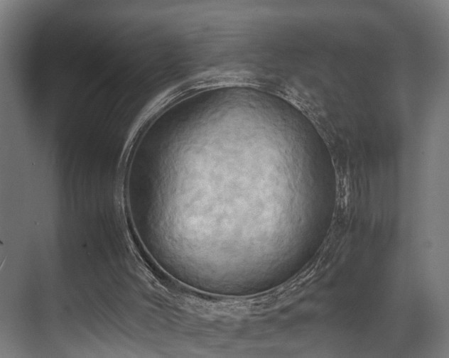 X0000072520004200607141210