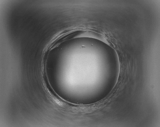 X0000072520005200607141210