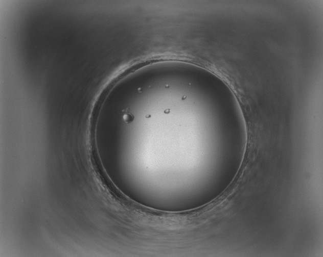 X0000072520008200607141210