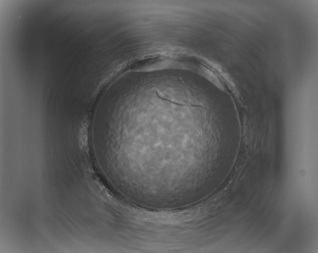 X0000072520010200607141210