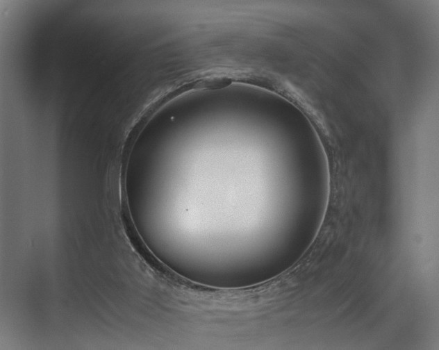 X0000072520011200607141210