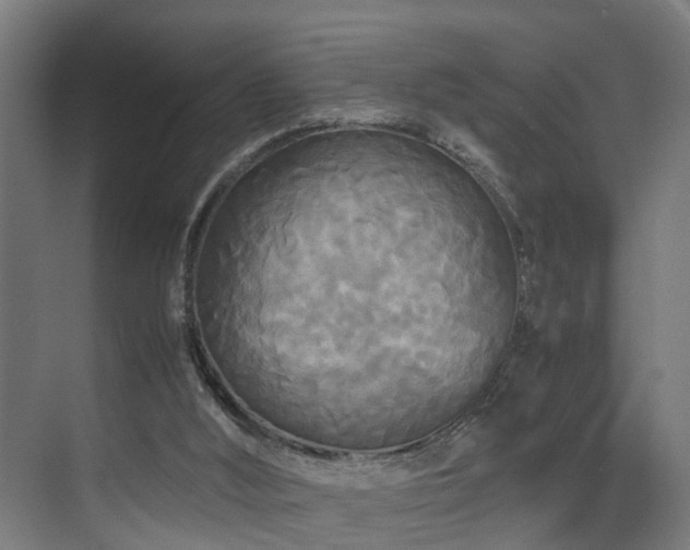 X0000072520012200607141210