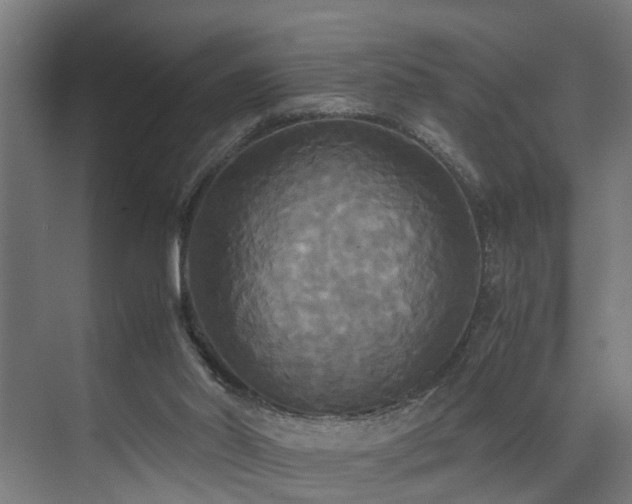 X0000072520014200607141210