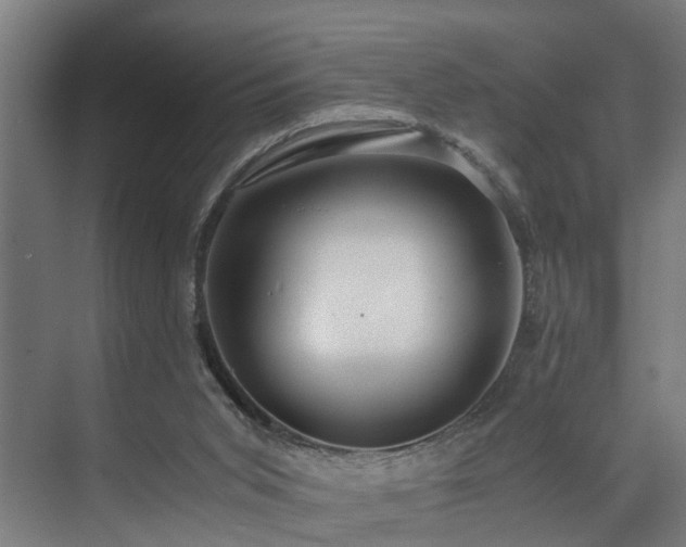 X0000072520015200607141210