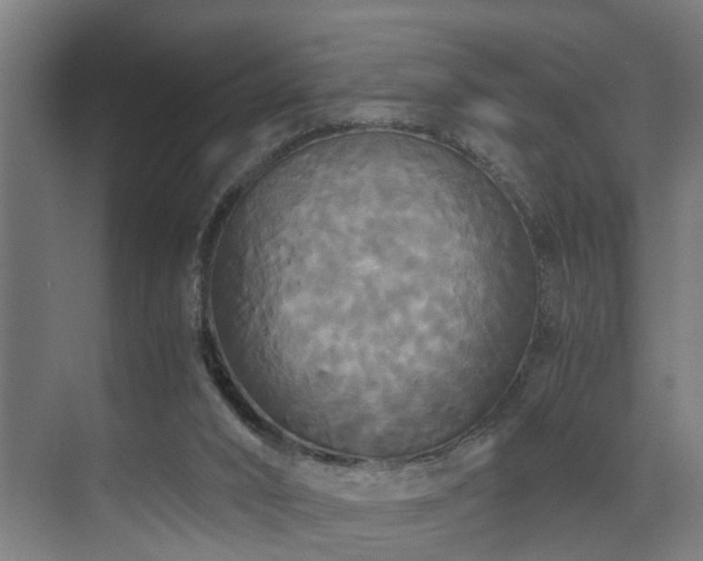 X0000072520016200607141210