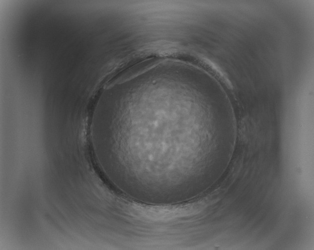 X0000072520018200607141210