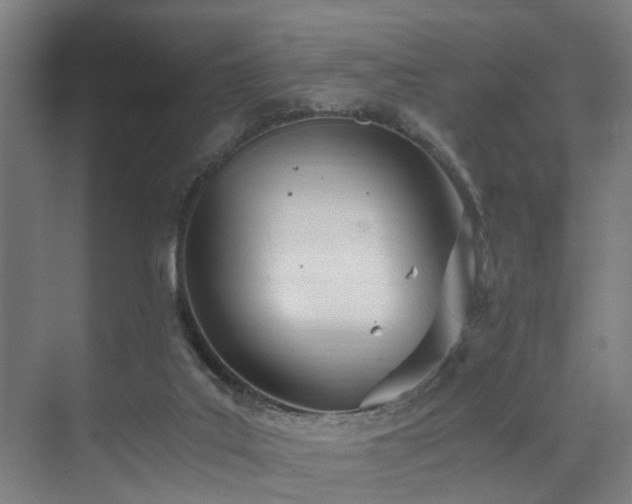 X0000072520019200607141210