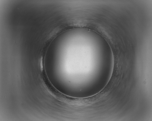 X0000072520020200607141210