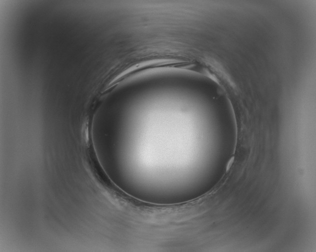 X0000072520021200607141209