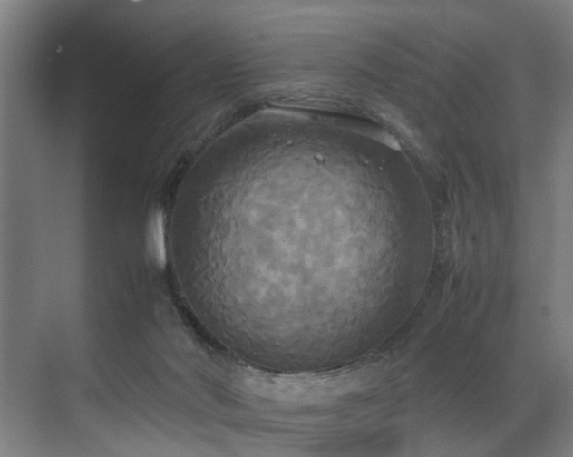 X0000072520022200607141209