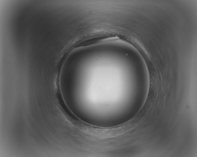 X0000072520023200607141209