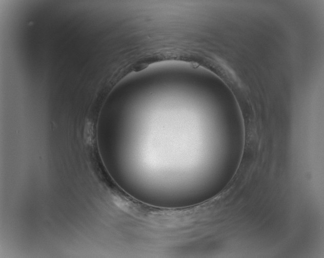 X0000072520025200607141209