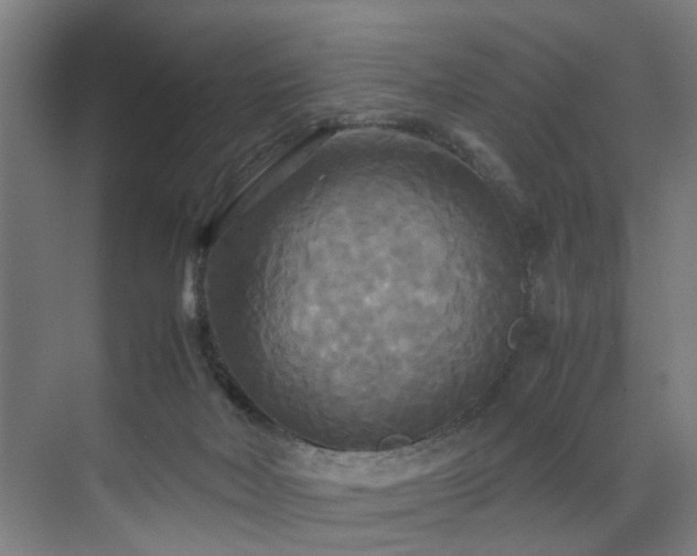 X0000072520026200607141209