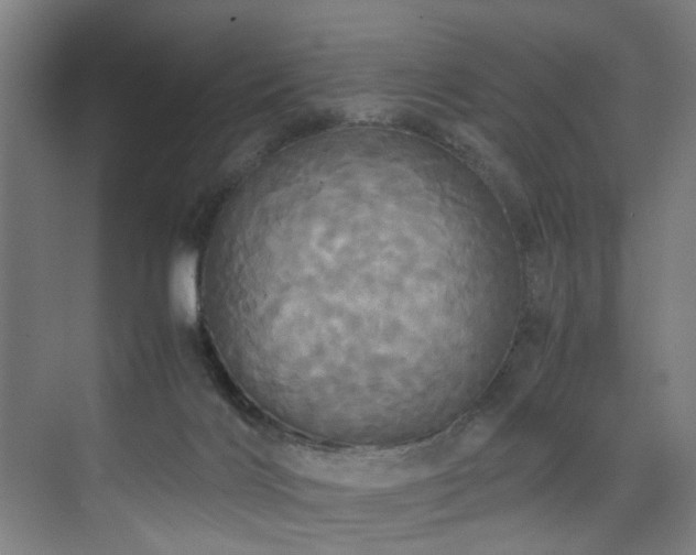 X0000072520028200607141209