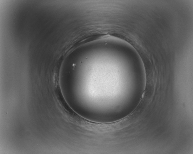 X0000072520031200607141209