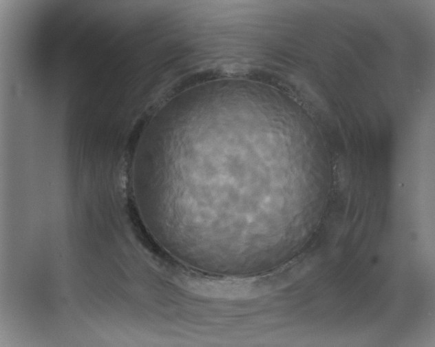 X0000072520032200607141209